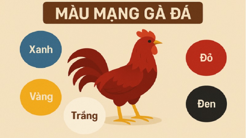 5 loại màu mạng gà đá theo ngũ hành
