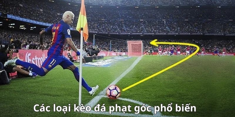 Biểu đồ thống kê số phạt góc trung bình của các CLB châu Âu